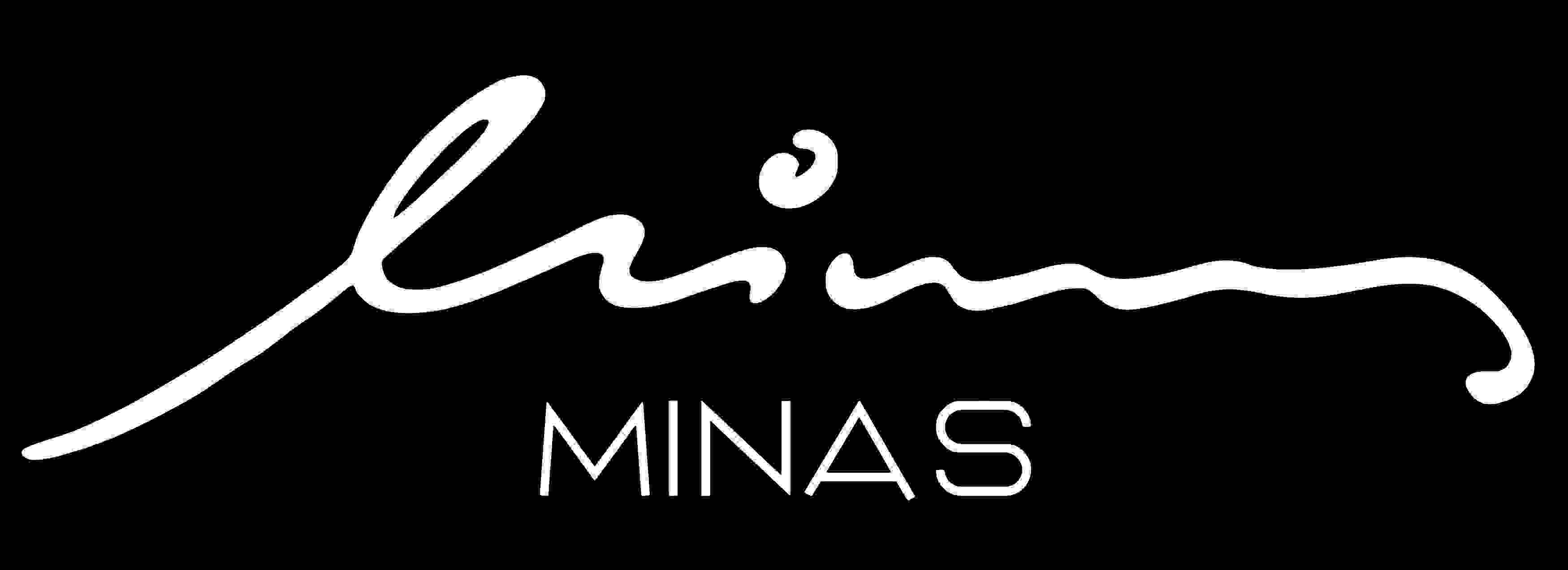 MINAS LOGO 2016b.jpg